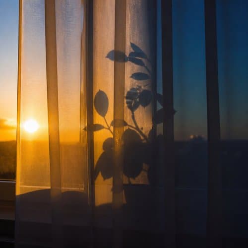 Silhouette by Psalmix